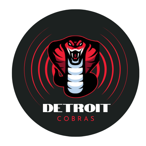 TheDetroitCobras.com